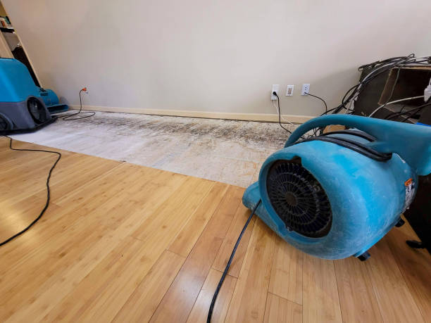 Professional Burst Pipe Water Damage technician working in Newark, CA